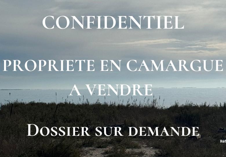 Propriété de chasse à vendre en camargue
