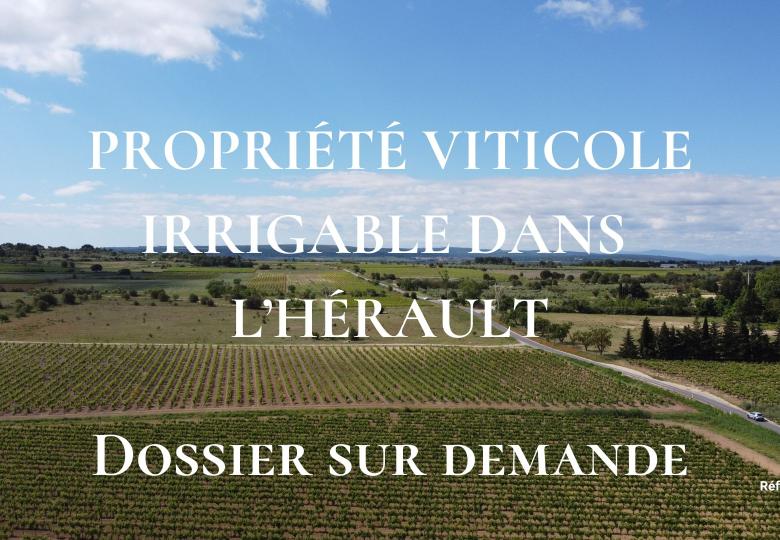 a-vendre-domaine-viticole-bio-languedoc-irrigue
