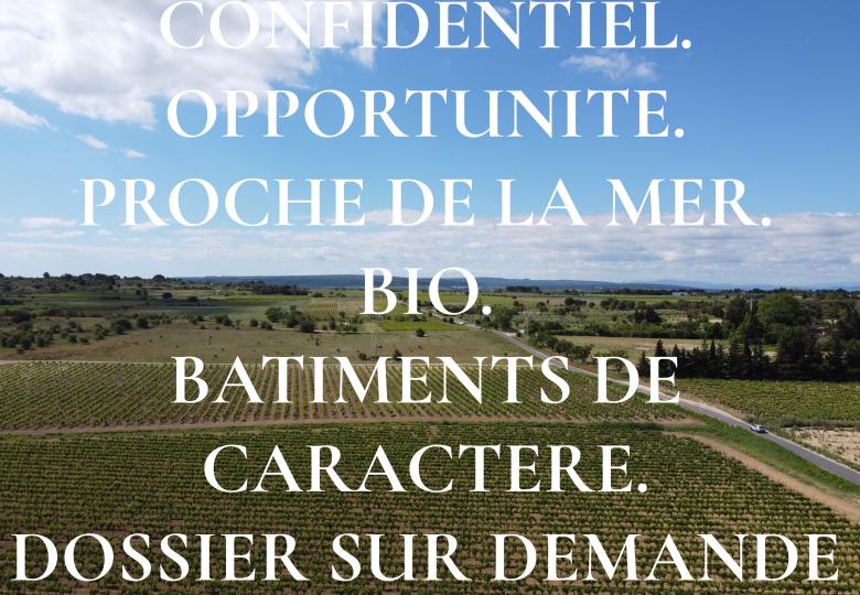 a-vendre-domaine-viticole-bio-languedoc-vignoble-irrigue-les-chemins-du-sud.jpg