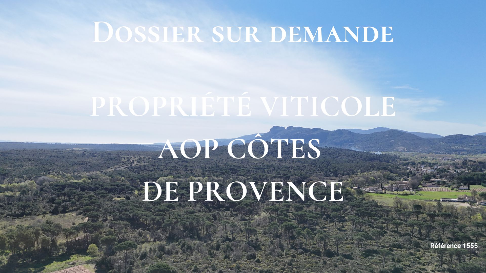 Domaine viticole à vendre AOP Côtes de Provence Rocher