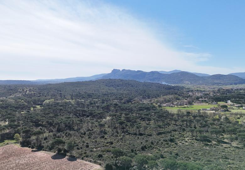 Domaine viticole à vendre AOP Côtes de Provence Rocher