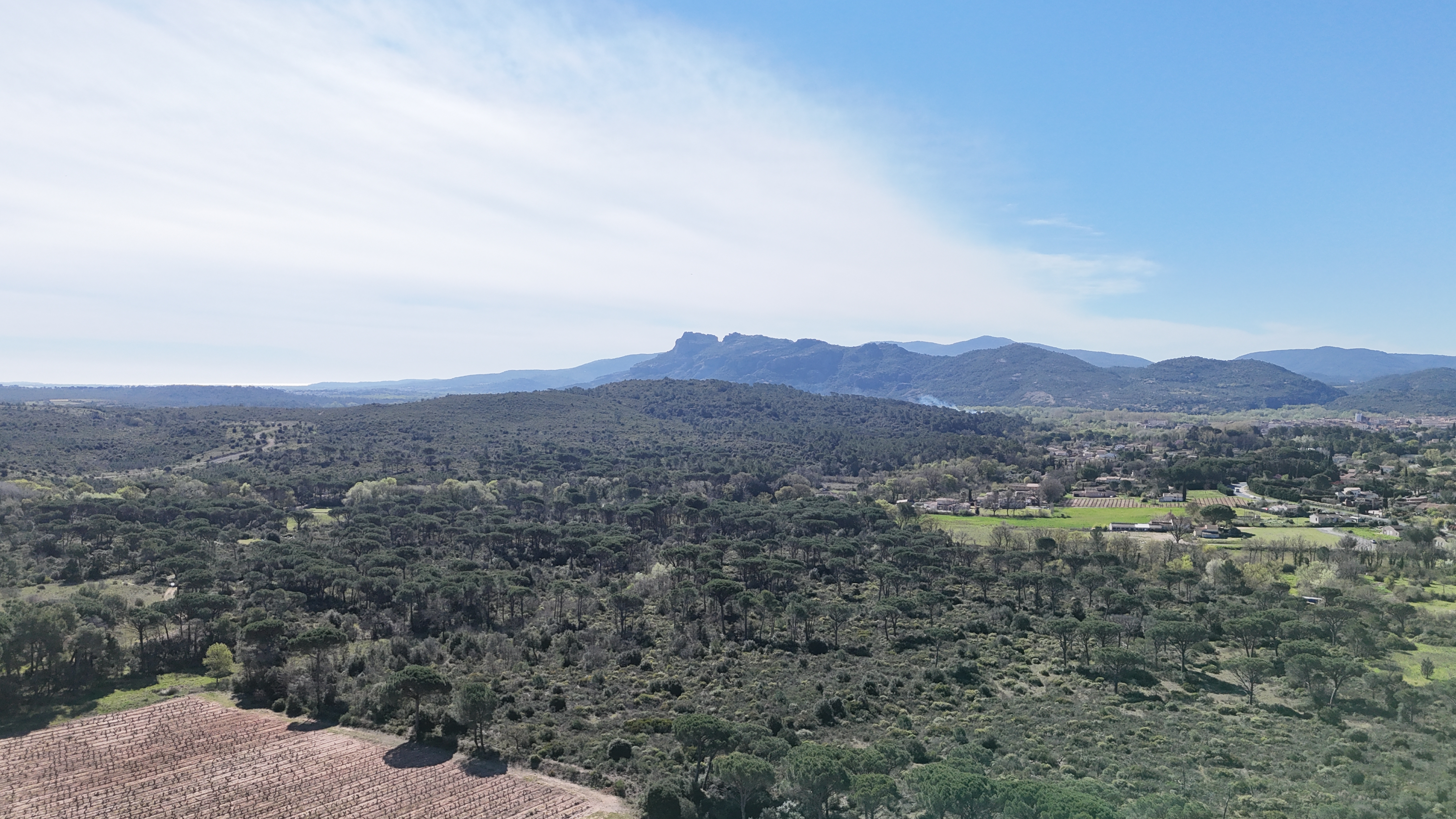 Domaine viticole à vendre AOP Côtes de Provence Rocher