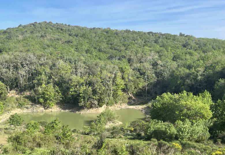 Propriété clôturée à vendre en Occitanie