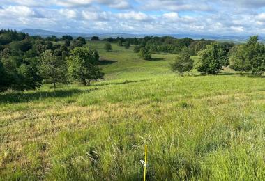 Grand domaine rural à vendre en Occitanie – Idéal pour la chasse, l'élevage, l'agriculture ou un projet familial