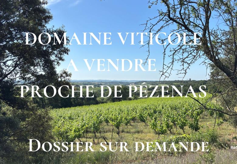Domaine viticole à vendre proche de Pézenas