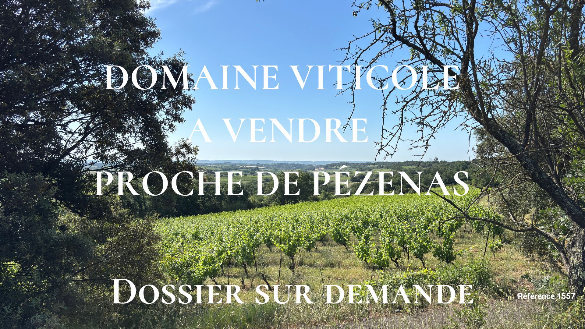 Domaine viticole à vendre proche de Pézenas