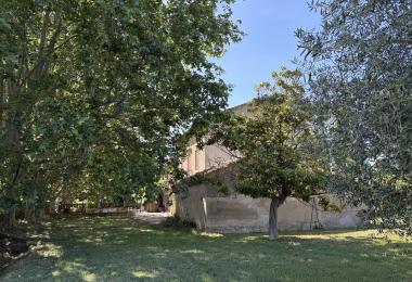 Domaine viticole à vendre près du Canal du Midi en Languedoc