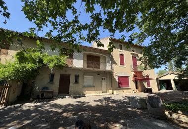Vignoble irrigué à vendre en Occitanie proposé par les chemins du sud