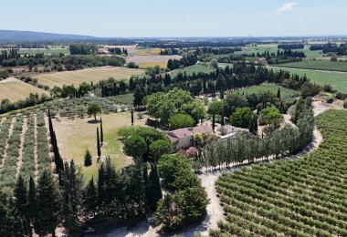 Domaine oléicole à vendre Alpilles Provence