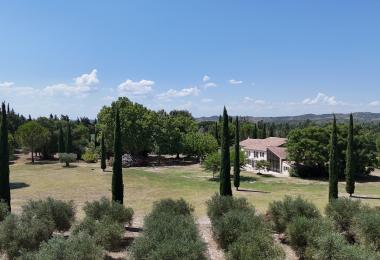 Mas oléicole à vendre Alpilles Provence