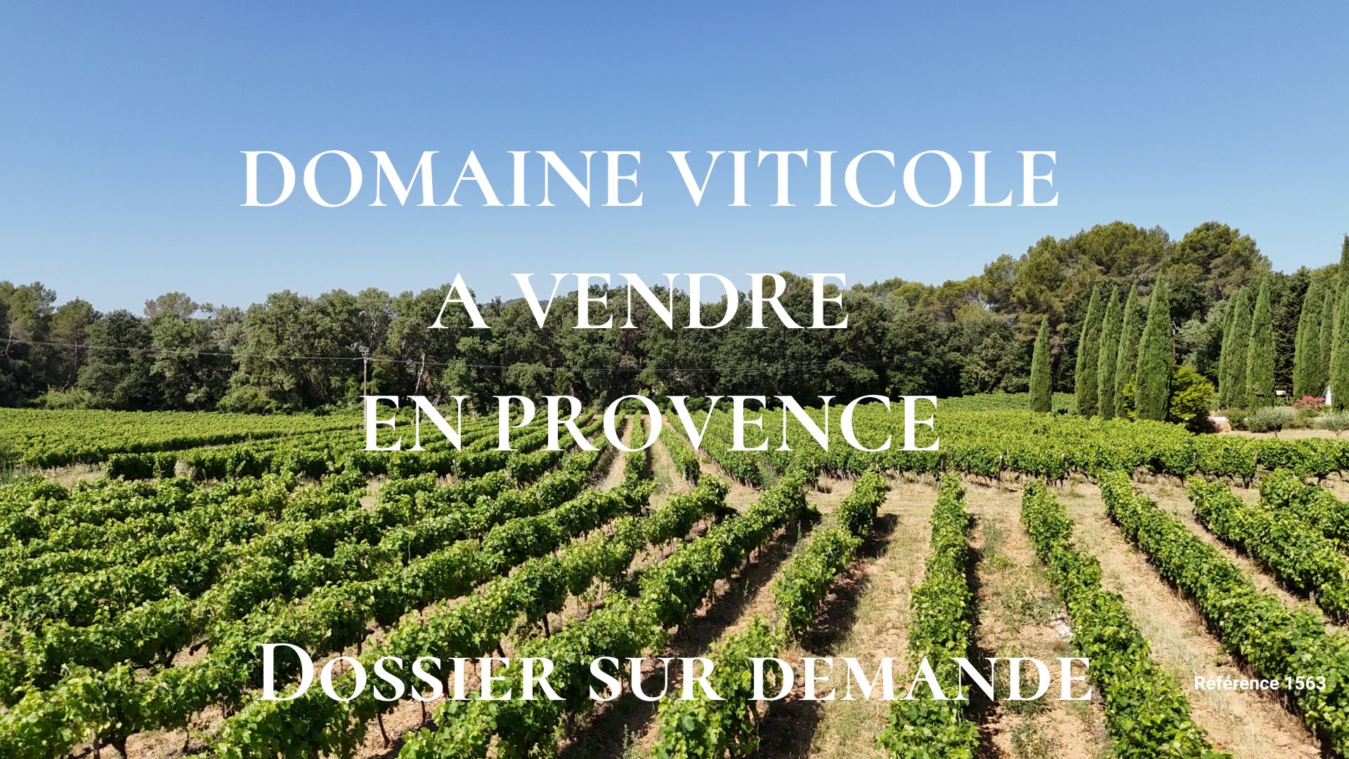 Domaine viticole à vendre en Provence