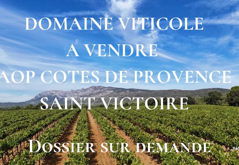 Domaine viticole à vendre AOP Cotes de Provence Sainte Victoire