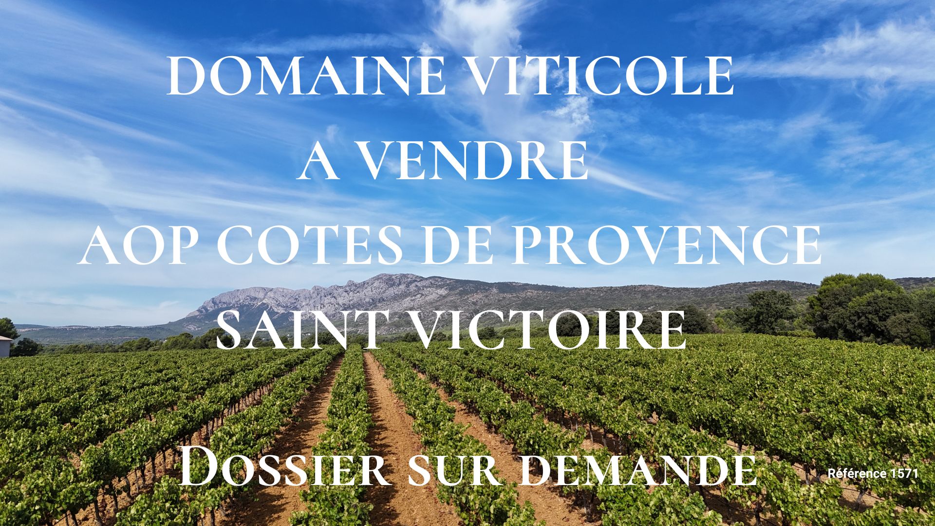 Domaine viticole à vendre AOP Cotes de Provence Sainte Victoire