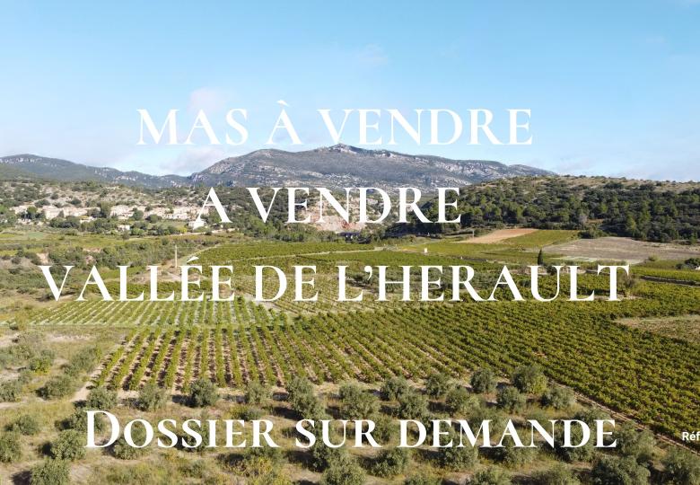 Mas à vendre proche de Montpellier