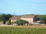 Mas à Rénover et maison d'habitation, domaine viticole dans l'Aude