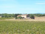 Vue du domaine viticole dans l'Aude depuis les vignes