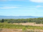 Vue sur les vignes du domaine viticole dans l'Aude