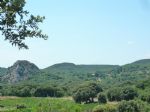 Vignoble classé en A.O.P coteaux du Languedoc