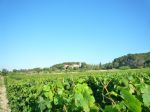 A vendre château viticole dans le Languedoc