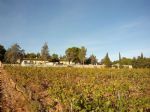 The viticultural property is located in the middle of the vines