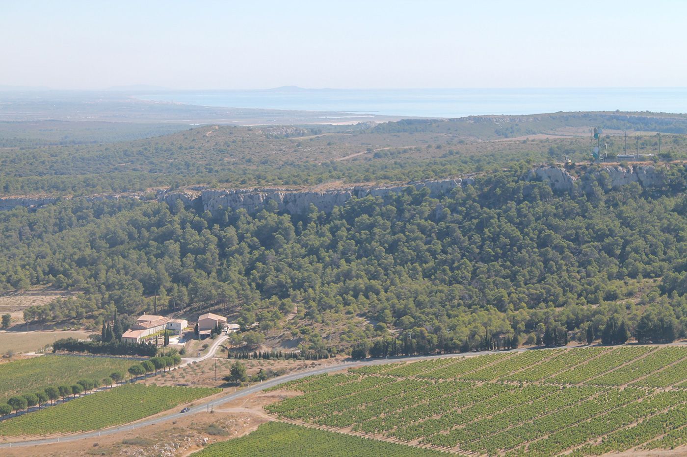 View across the wine estate and the vines