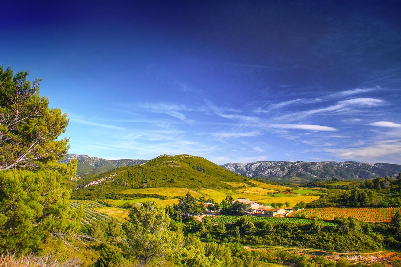 Vue sur le beau domaine viticole à vendre en Languedoc
