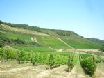 Domaines viticoles à vendre proche de la mer en Languedoc.