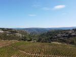 Vignoble d'altitude en Languedoc