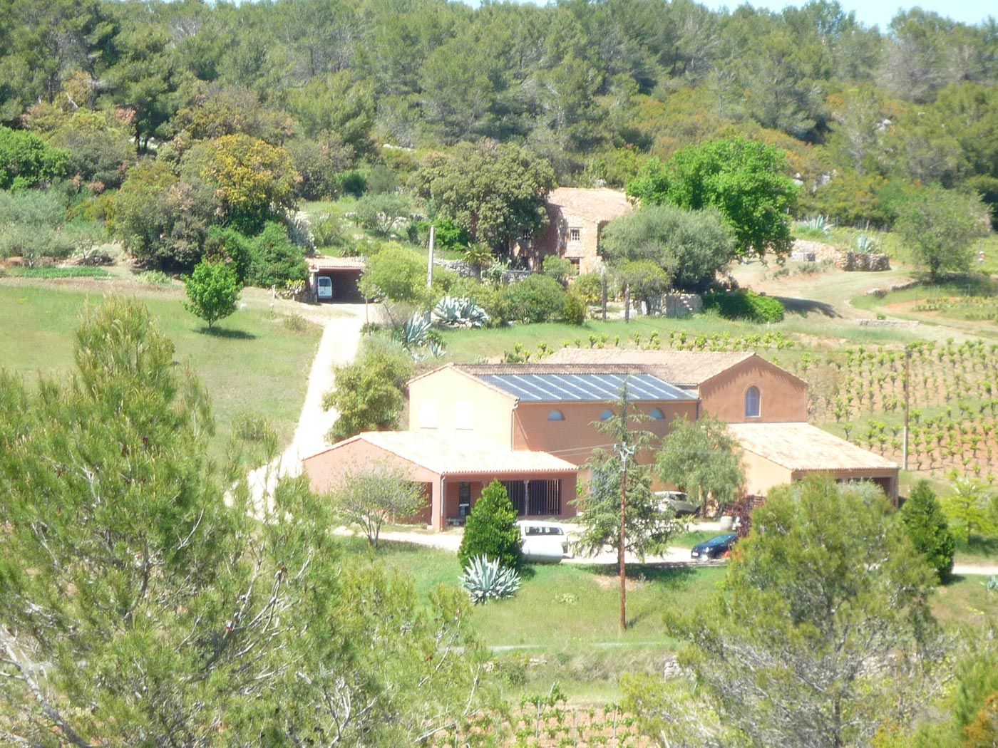 Vue aérienne d'un beau-domaine viticole bio