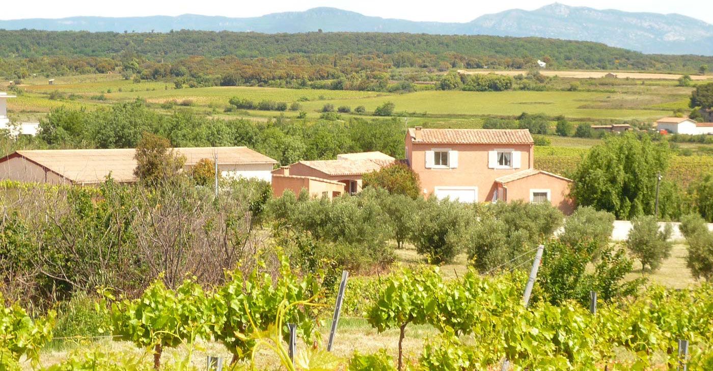 Vue générales des vignes du domaine viticole à vendre dans l'Hérault, proche d’un village avec vue sur la campagne