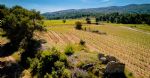 Les vignes de la propriété viticole à vendre dans l’Aude en AOC Corbières
