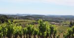 Les coteaux des vignes du domaine viticole Bio dans l'Aude en AOP Corbières