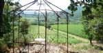 Vignoble d'altitude du domaine viticole en AOP Languedoc, à la vente