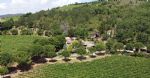 Vue des vignes du vignoble d'altitude d'un charmant domaine viticole en IGP Languedoc