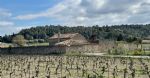 Les vignes d'un petit domaine viticole à la vente en Languedoc.