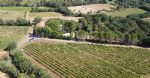 Vue des vignes du charmant domaine agro-touristique en Languedoc.