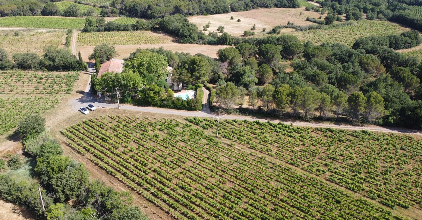 Vue des vignes du charmant domaine agro-touristique en Languedoc.