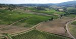 Vue aérienne des vignes du domaine viticole en Languedoc