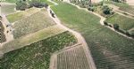Vue aérienne des vignes du domaine viticole à la vente en Occitanie