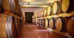 Chai d'élevage du domaine viticole Bio dans l'Hérault