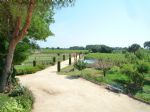Jardin de la propriété viticole à vendre dans l'Hérault